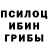 Псилоцибиновые грибы Psilocybine cubensis Khaliq McClean
