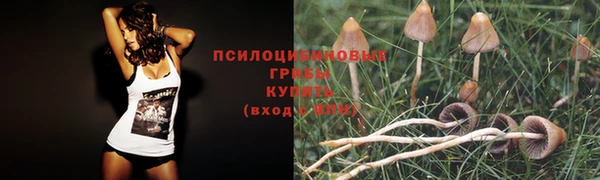 альфа пвп Майский